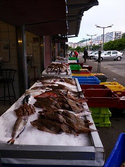 Boulogne le port marché aux poissons